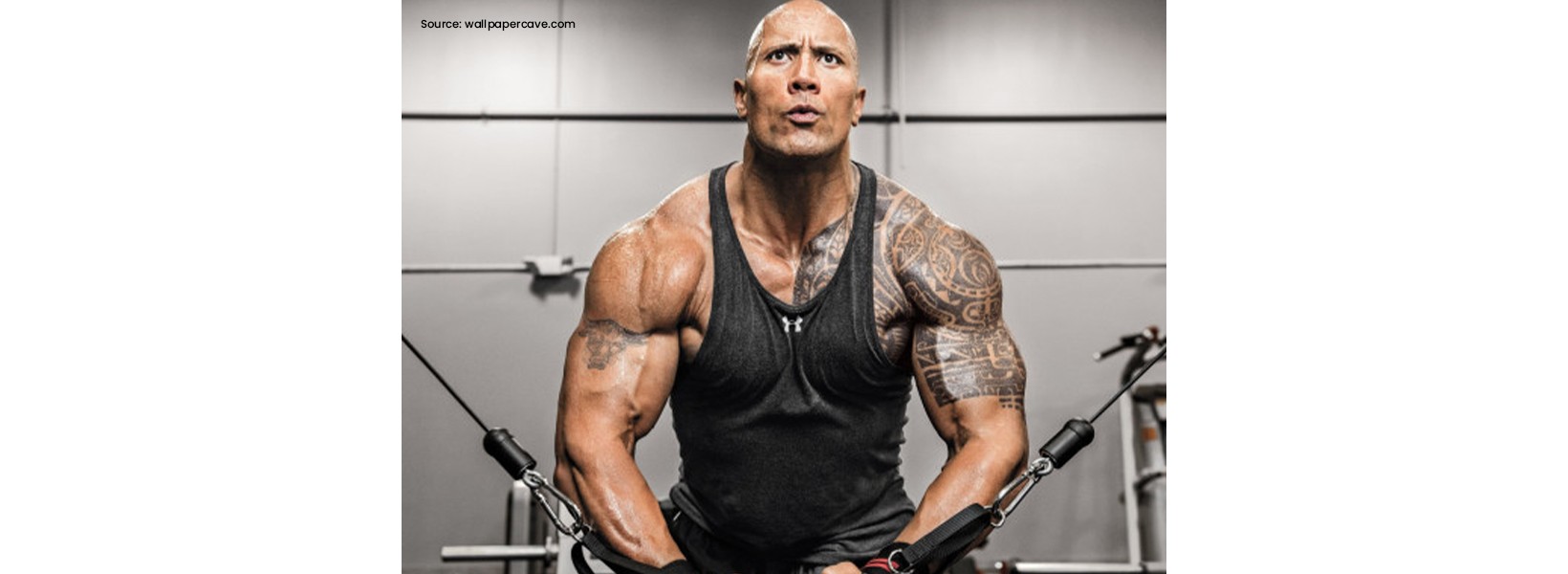 How  To Train Like Dwayne “ The Rock” Johnson