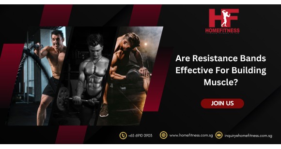 Are Resistance Bands Effective For Building Muscle?