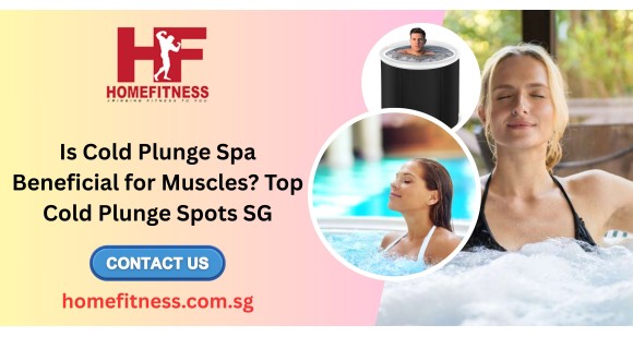 Is Cold Plunge Spa Beneficial for Muscles? Top Cold Plunge Spots SG