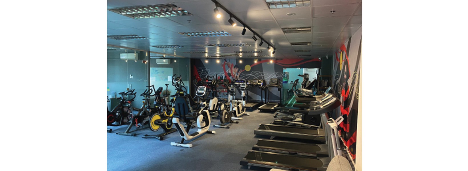 Unlocking Fitness at Home: The Ultimate Guide to Home Gym Equipment in Singapore by HF HomeFitness