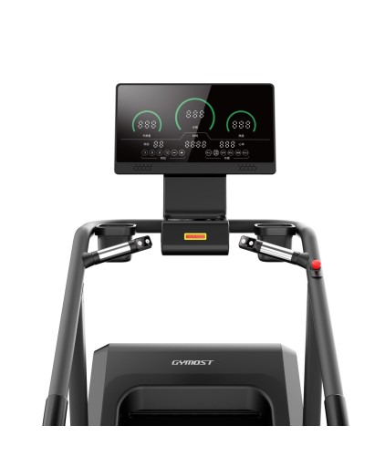 Gymost Turbo Plus LT02EB  Stair Machine