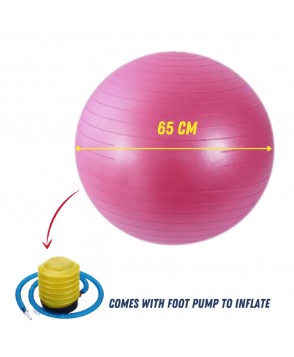 Vigfit Anti-burst Gym Ball with Foot Pump (Purple, Blue & Pink)