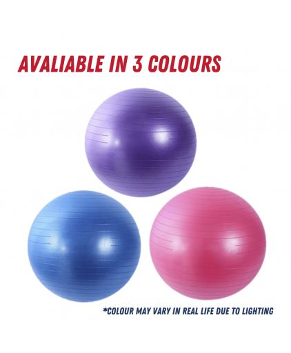 Vigfit Anti-burst Gym Ball with Foot Pump (Purple, Blue & Pink)